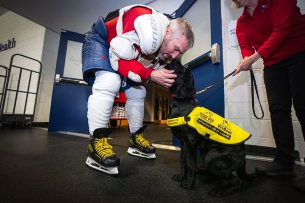 В США собаку-помощника назвали в честь Александра Овечкина