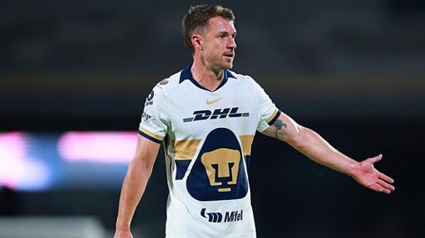 Футболист Рэмзи пообещал $20 тыс. за информацию о его пропавшей собаке