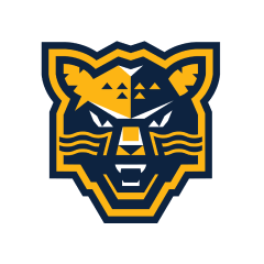 Сочи — Спартак: онлайн-трансляция матча КХЛ-2025/2026 начнётся в 17:00 мск